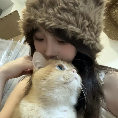 大卫林区：绿野谜踪